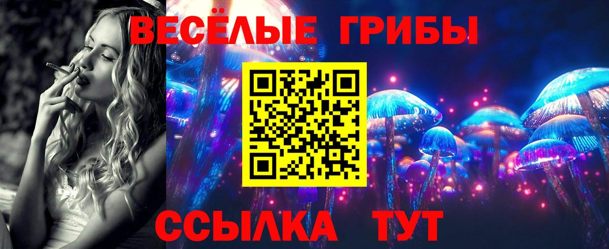 Медногорск  Псилоцибиновые грибы ЛСД  Вход с VPN  Галлюциногенные грибы GOLDEN TEACHER 
