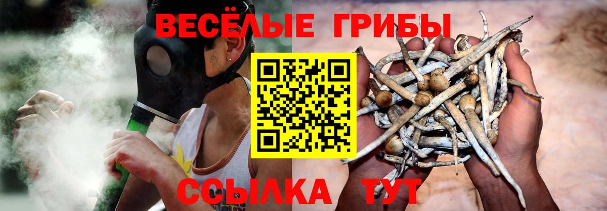 Псилоцибиновые грибы GOLDEN TEACHER Медногорск